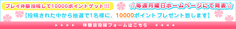 プレイ体験投稿