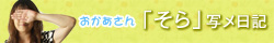 �ʃ����L