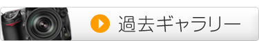 過去ギャラリー