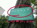 pcpics00002.jpg