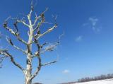 pcpics00001.jpg