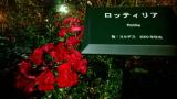 pcpics00001.jpg