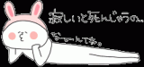 pcpics00001.gif