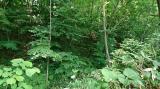 pcpics00001.jpg