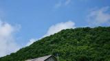 pcpics00002.jpg