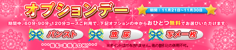 オプションデー