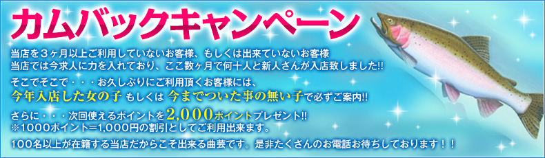 カムバックキャンペーン