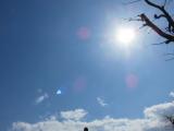 札幌の☆（星）探し