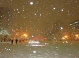雪降る街、大通公園。