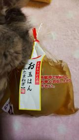 珍しいよね！