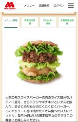 ボリューミー！