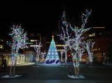 夜の札幌駅前