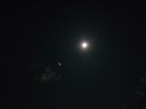 キレイな月夜でした