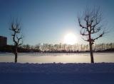 これぞ、冬の北海道っていうような景色。