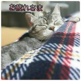 ありがとう(*^^*)