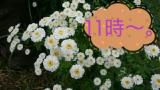 花しかない(-""-;)