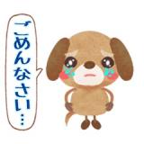 おはようございます☆