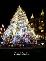こんばんは😃🌃