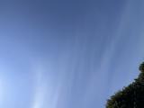 こんにちは??