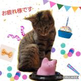 今日も