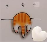 これ見つけた！！