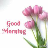 goodmorning