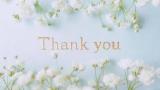 thank you?