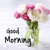 good morning！