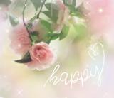 おはようございます。。。