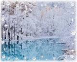 今日中に。。。。