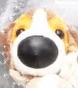 なんでだろう？？