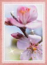 違いのわからない女（笑）