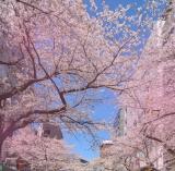 ご無沙汰しておりました。