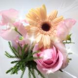 おはようございます♪