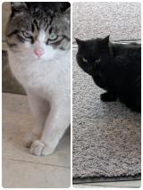 こんなはずじゃぁなかった〜（笑）