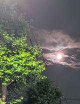 夏の夜空