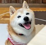 色んな気持ち