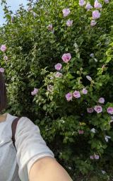 肌寒くなりましたね