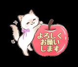 あっ！火曜日ですが